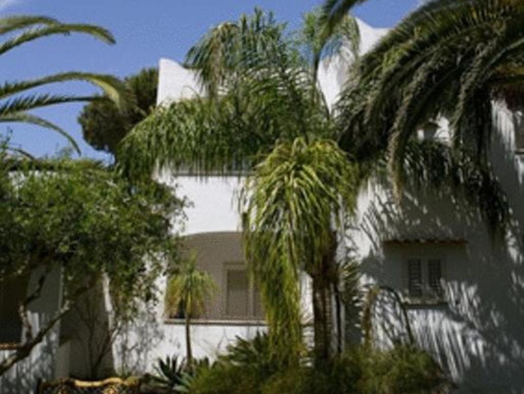 皇家棕榈,探寻皇族荣耀与自然奇观的完美融合