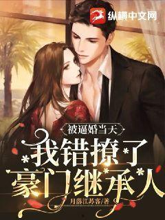 结婚当天我成了豪门继承人,结婚当天，我成了继承人生死相依的宠妻